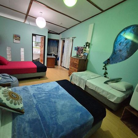Cozy Hosting Galapagos Apartman Puerto Ayora  Kültér fotó