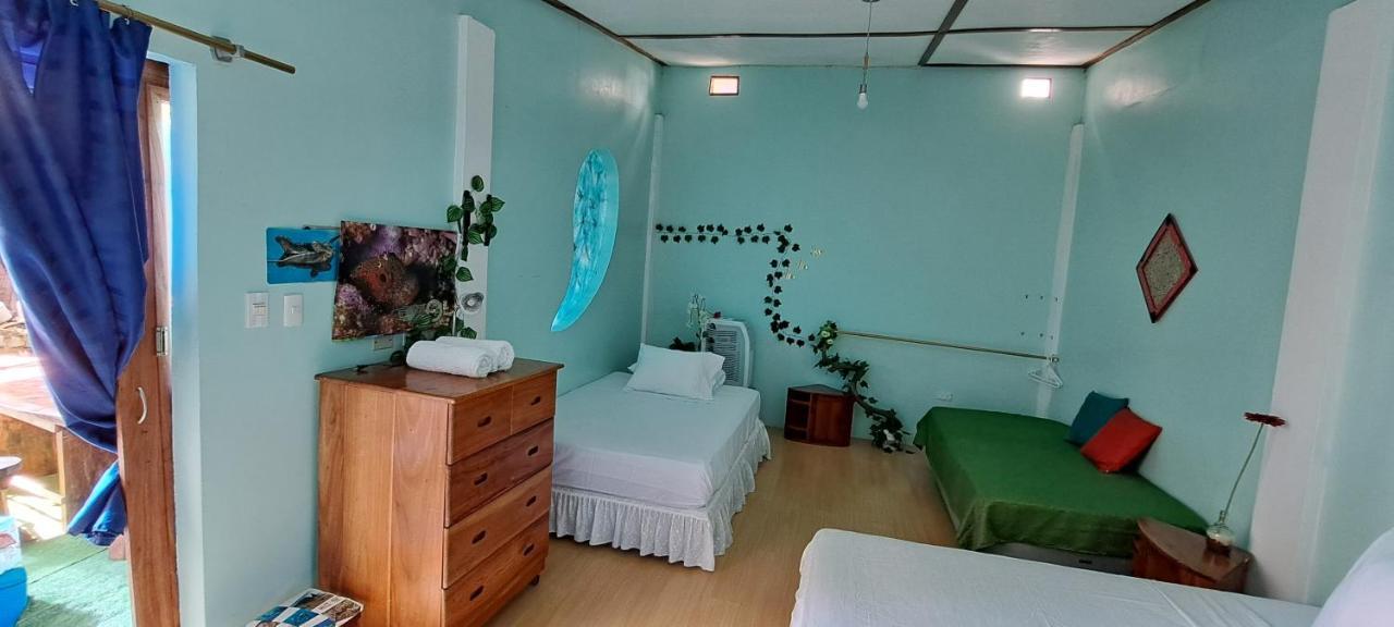 Cozy Hosting Galapagos Apartman Puerto Ayora  Kültér fotó