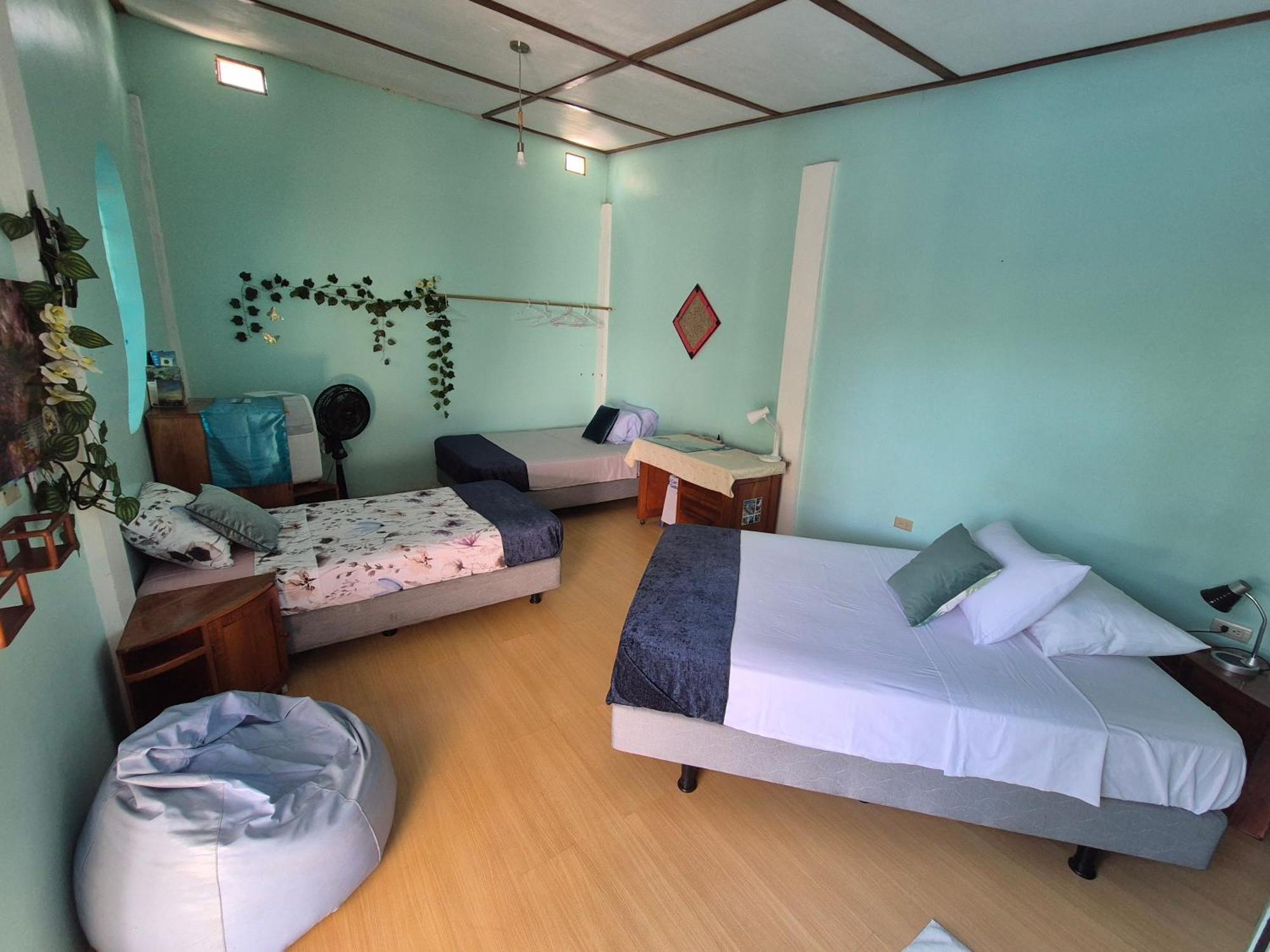 Cozy Hosting Galapagos Apartman Puerto Ayora  Kültér fotó